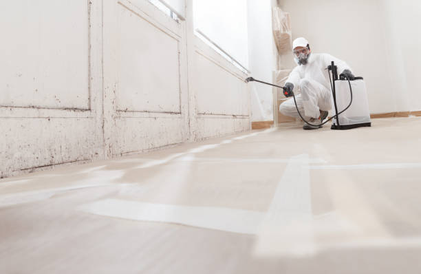 24/7 Emergency Crawl Space Mold Remediation experts in Plainfield, NJ